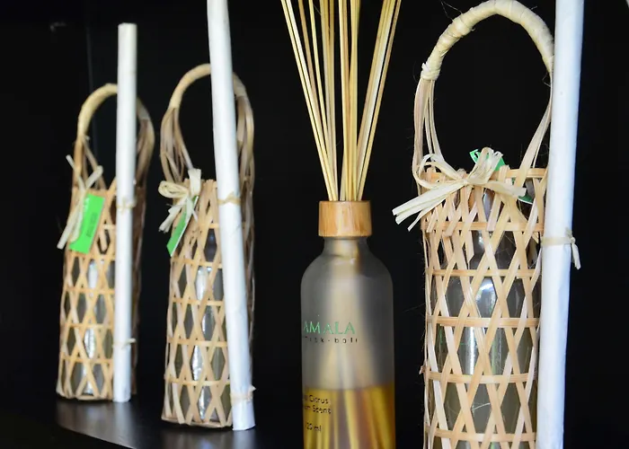 The Amala Boutique Retreat - Details